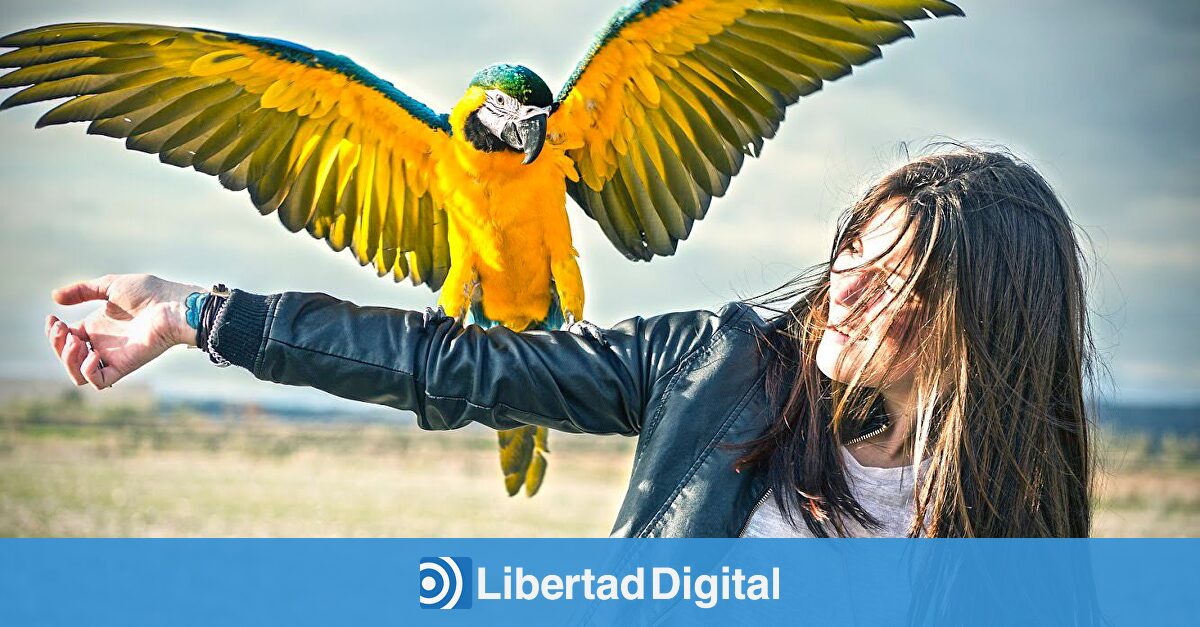 www.libertaddigital.com