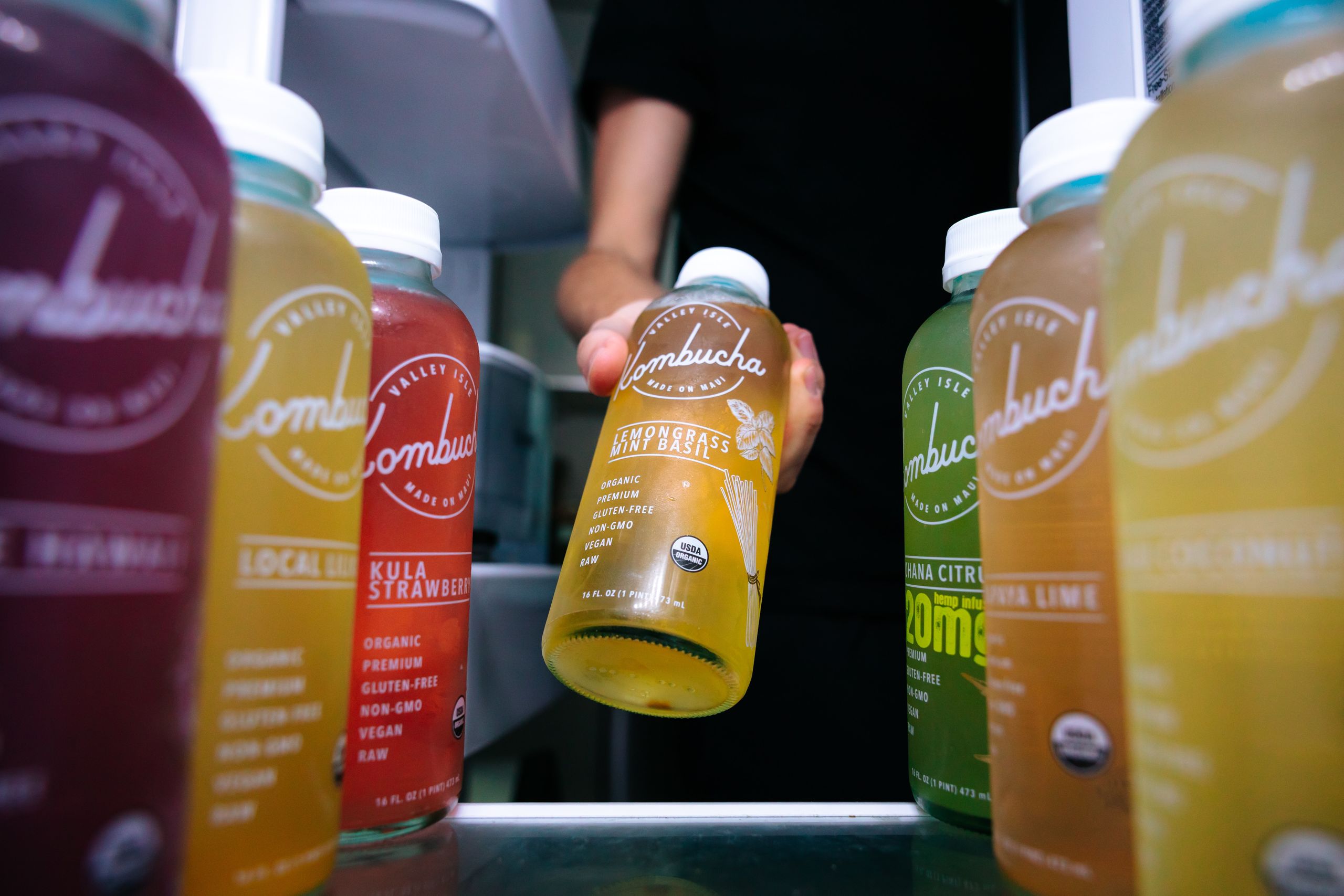 La kombucha con fibra: mejora la microbiota intestinal y reduce grasas en sangre, según un ensayo clínico
