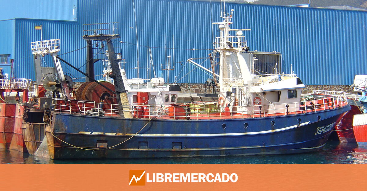 www.libremercado.com