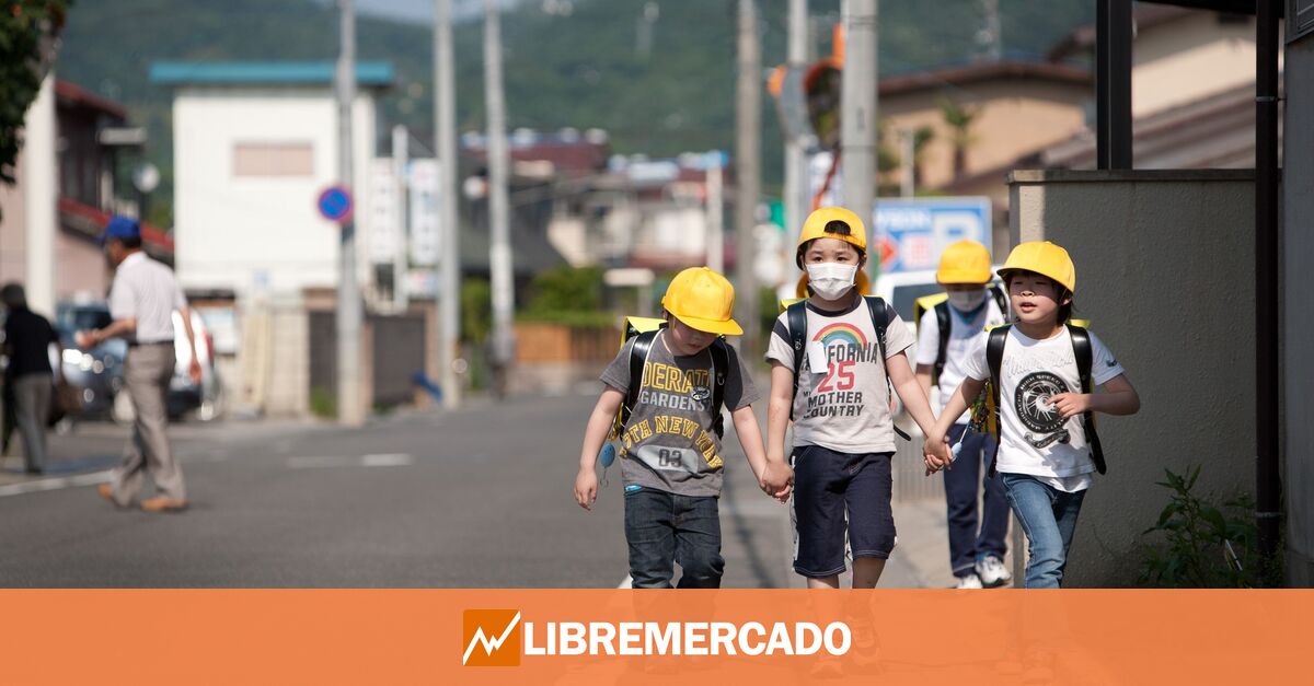 www.libremercado.com