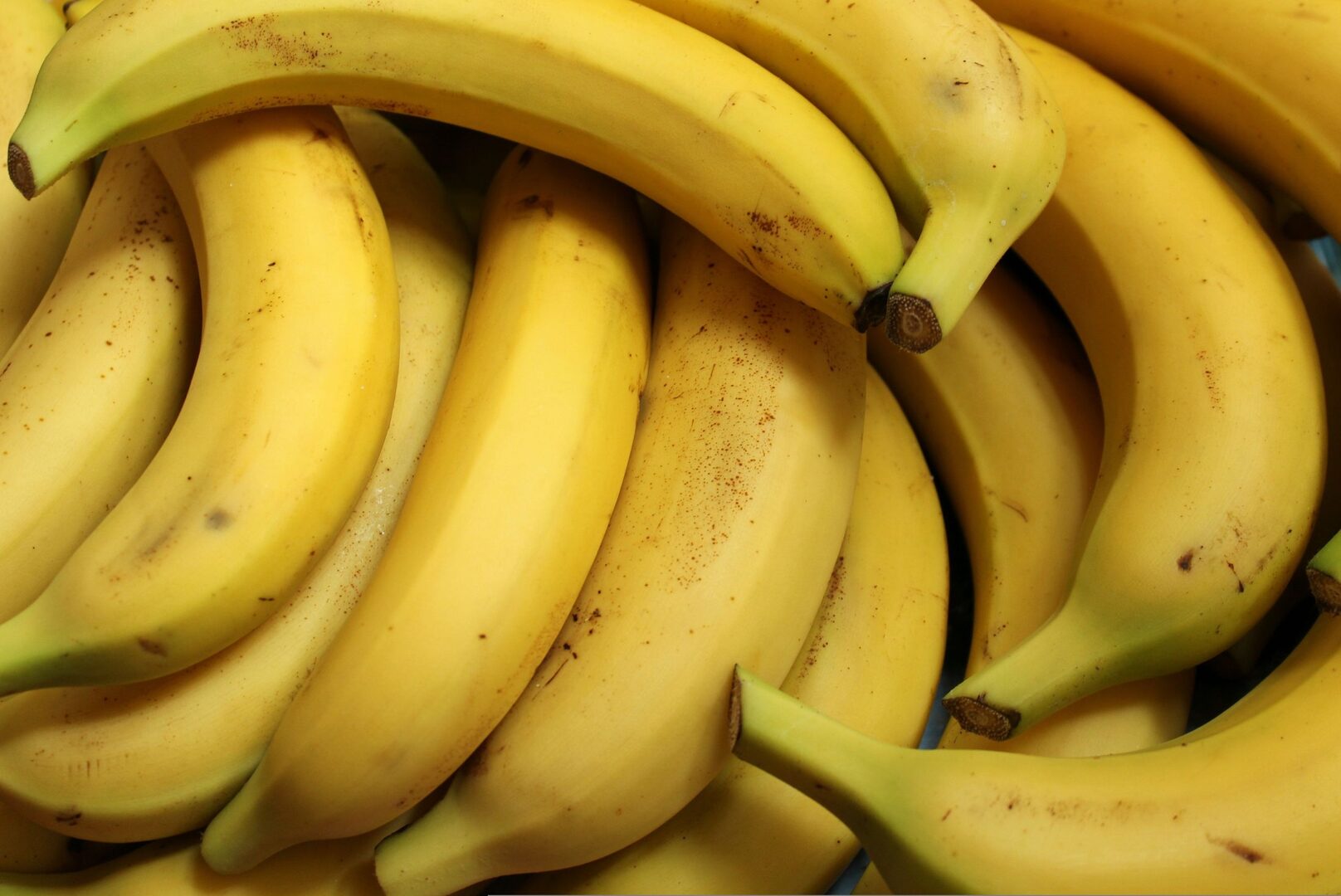 ¿Cuáles son las diferencias entre un plátano y una banana?