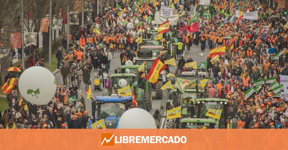 www.libremercado.com