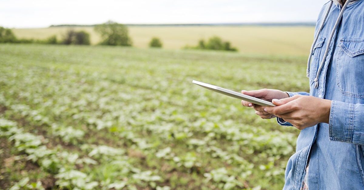 El futuro del sector agroalimentario: la agroindustrialización - Libre Mercado