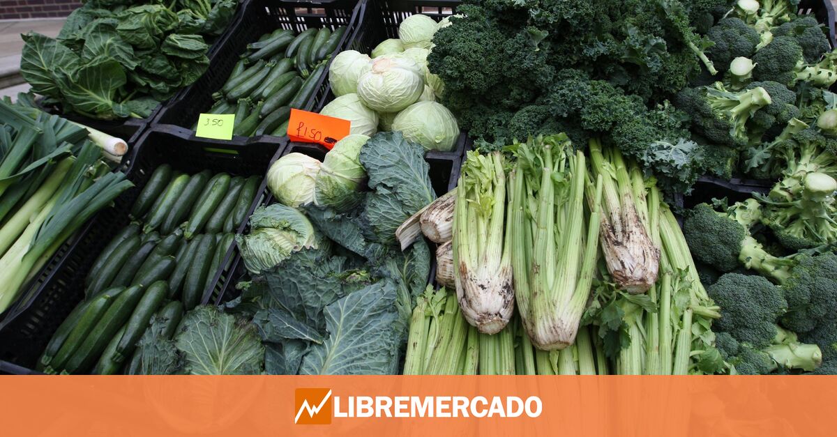 www.libremercado.com