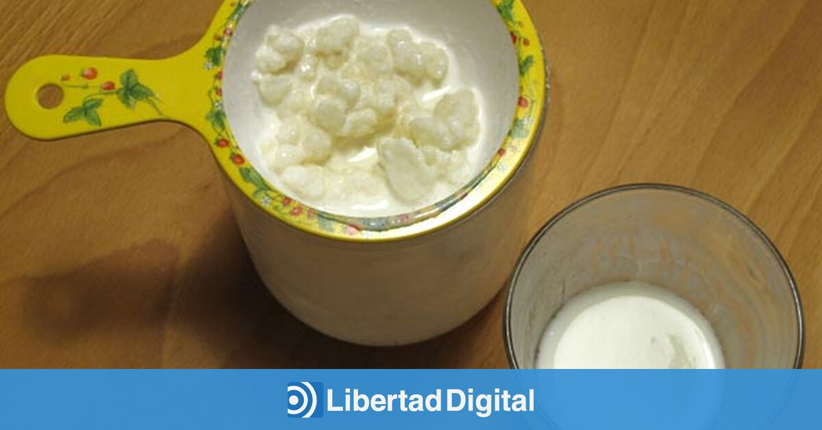 Kéfir de agua y kéfir de leche para cuidar tu microbiota