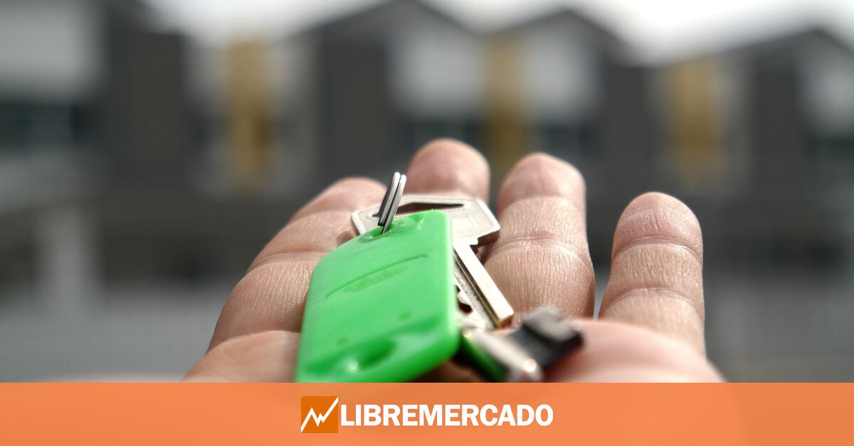 www.libremercado.com