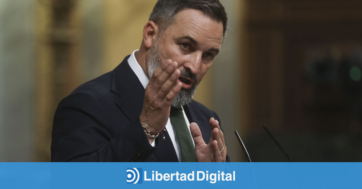 Abascal ofrece colaboración a Feijóo  hasta desmontar la autocracia de Sánchez 