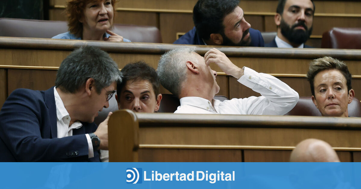 El Plan Oculto De Bildu Aplicar La Ley De Amnistía A Sus Etarras Bajo La Calificación De