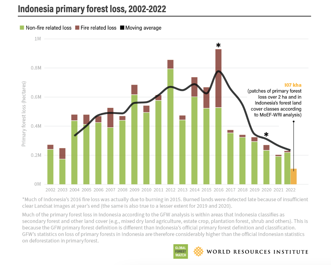 deforestacion-indonesia-mejora-datos.png