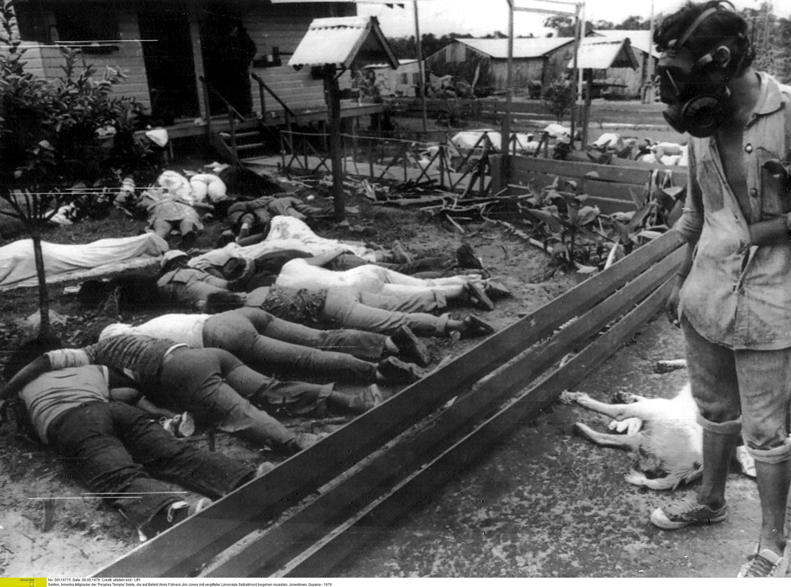 45º aniversario de la masacre de Jonestown: del paraíso socialista al suicidio revolucionario