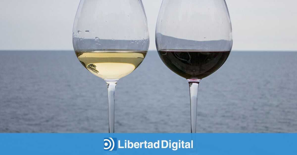 La UE financiará un estudio español sobre el consumo de vino: «Si no tiene beneficios para la salud, dejaré de tomarlo»