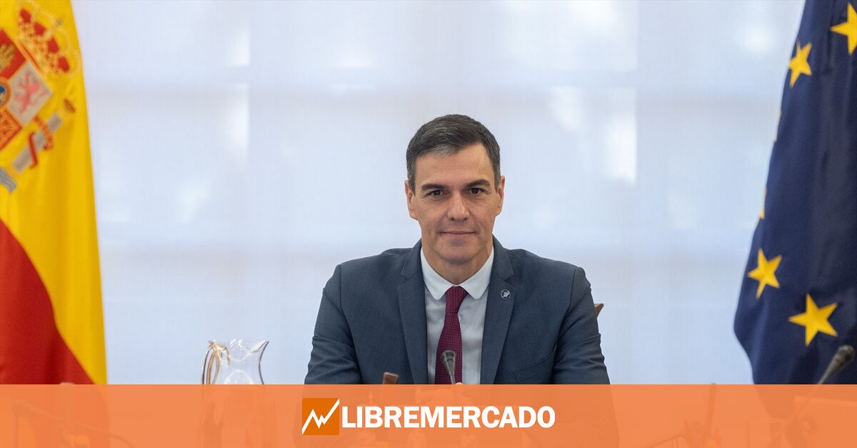 www.libremercado.com