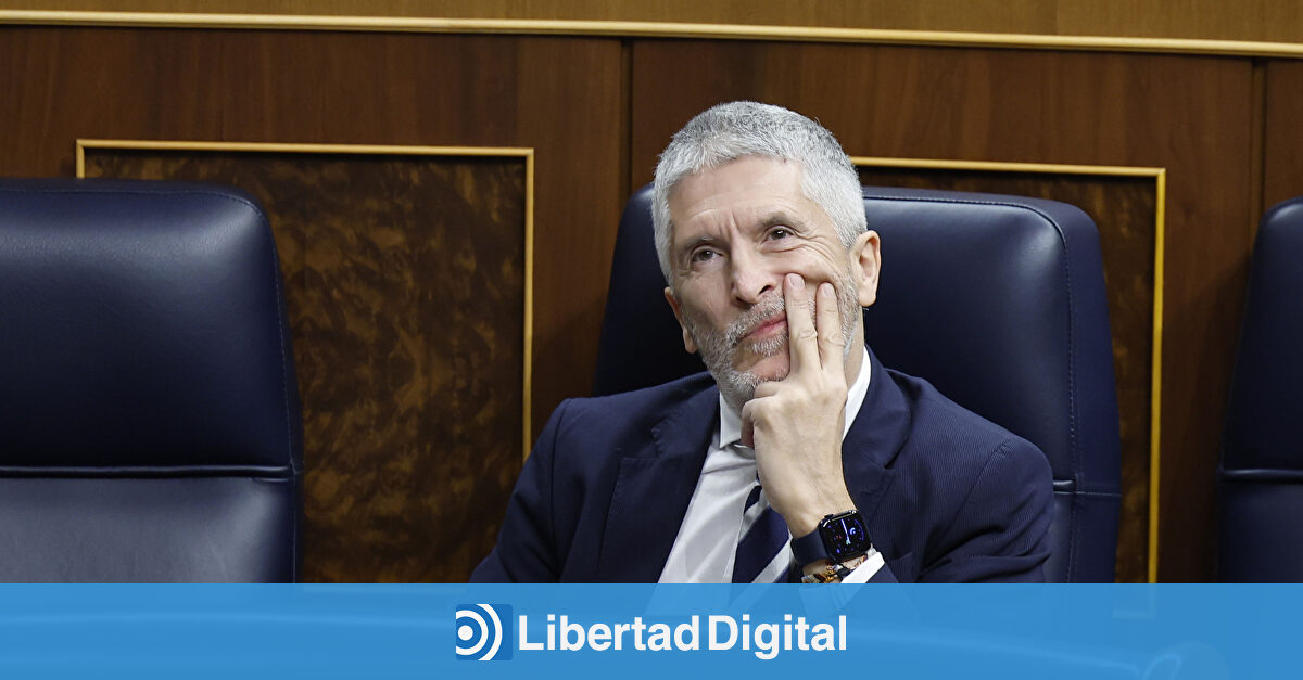 Jupol desmonta el  discurso triunfalista  de Marlaska: la criminalidad aumenta desde su llegada a Interior