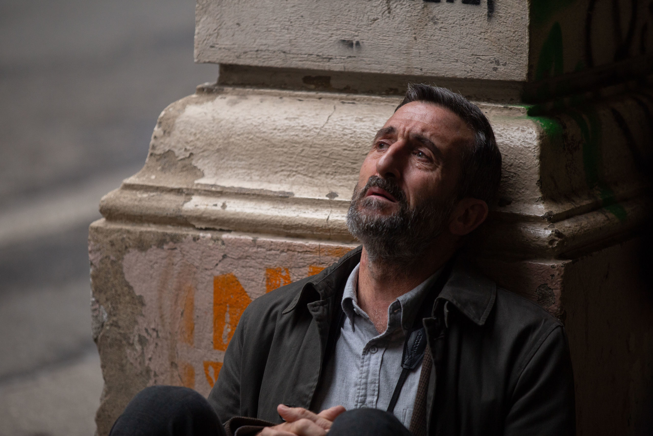 pajaros-luis-zahera.jpg