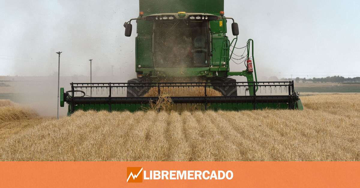 www.libremercado.com