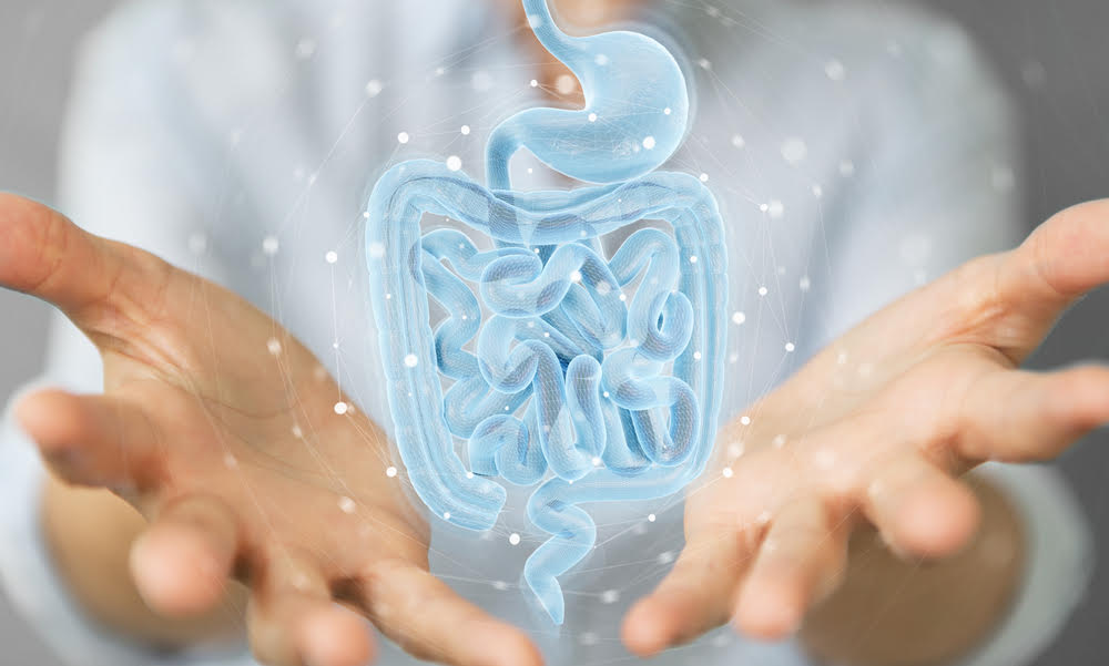 Cuidado con los problemas digestivos: tu microbiota puede estar dañando el sistema inmunológico