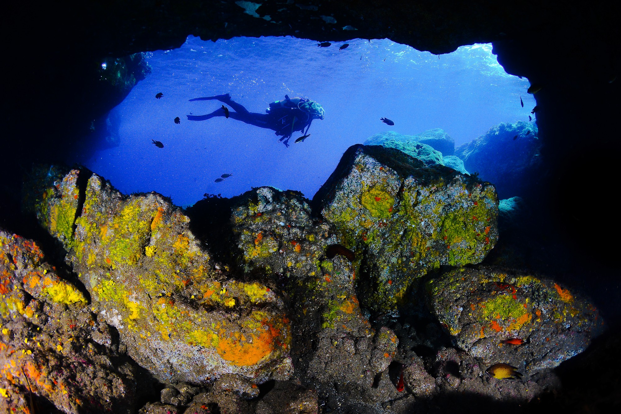 buceo-en-la-region-de-murcia-9-javier-ferrer.jpg