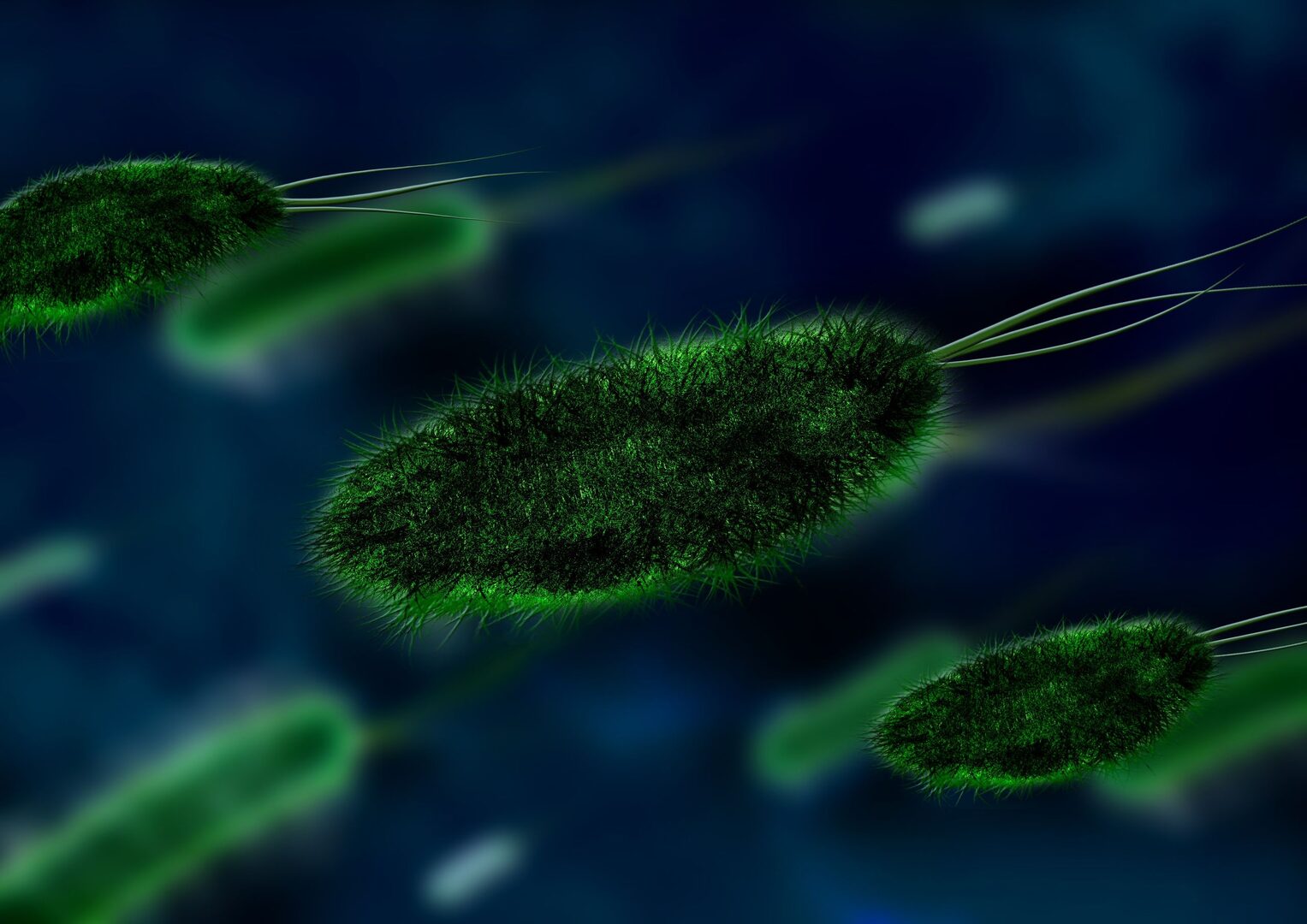 Listeria: ¿Qué es y dónde puede encontrarse? - Libertad Digital