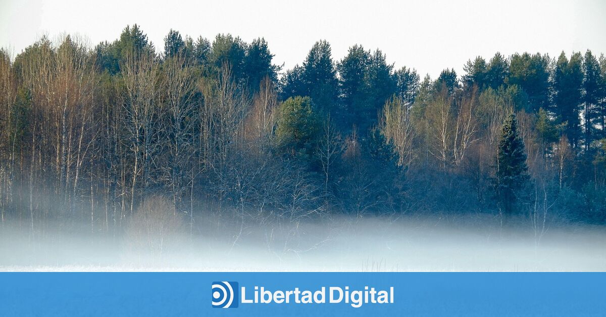 La AEMET pone cinco comunidades en alerta por niebla