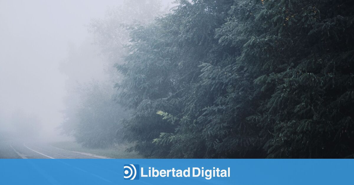 El tiempo del lunes: la AEMET emite alertas en 20 provincias por niebla y temperaturas extremas