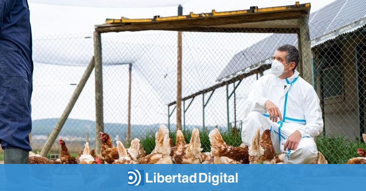 Mónica García: silencio e inacción frente a la primera muerte por gripe aviar en EEUU