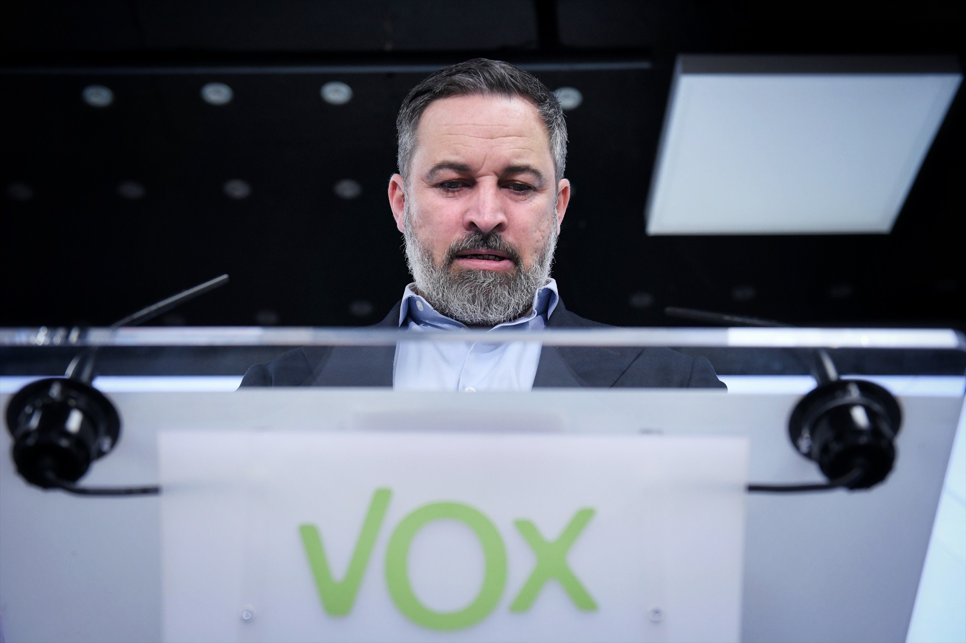 ¿Qué quiere ser Vox?