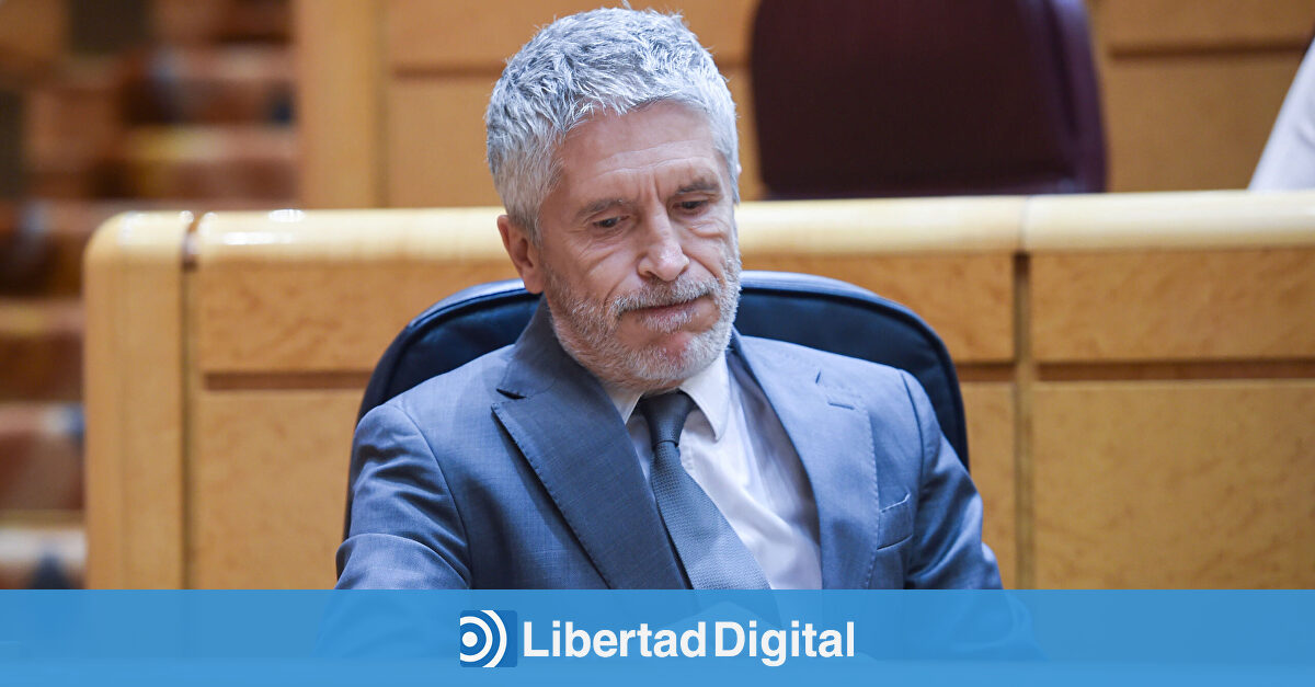 Los delitos más graves aumentan en el primer semestre de 2025 y los sindicatos policiales piden a Marlaska que dimita