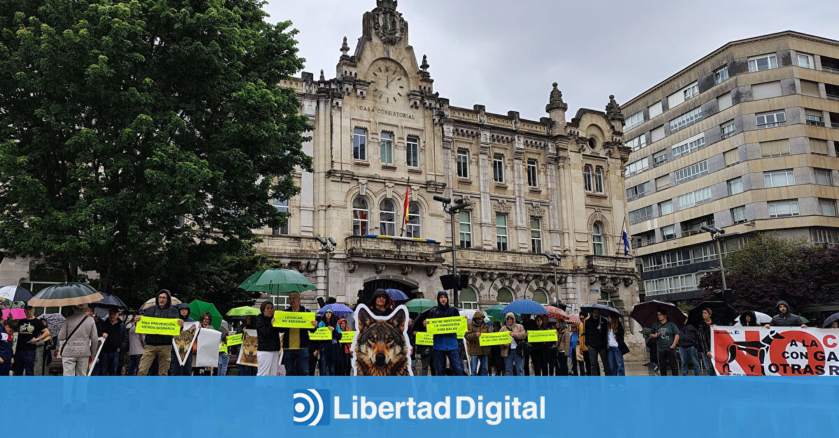 Santander vive la manifestación más grotesca: unas decenas de animalistas aúllan por los lobos