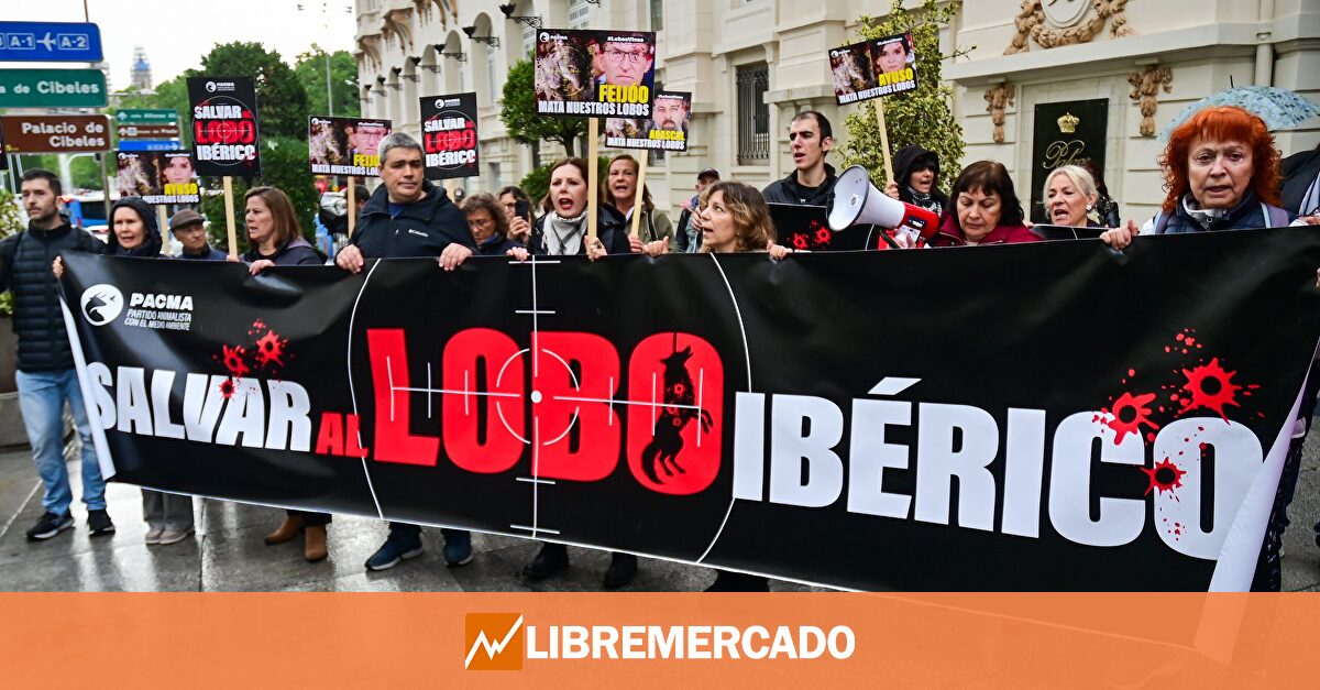 Los animalistas se movilizan para influir masivamente en la consulta del Gobierno sobre el lobo