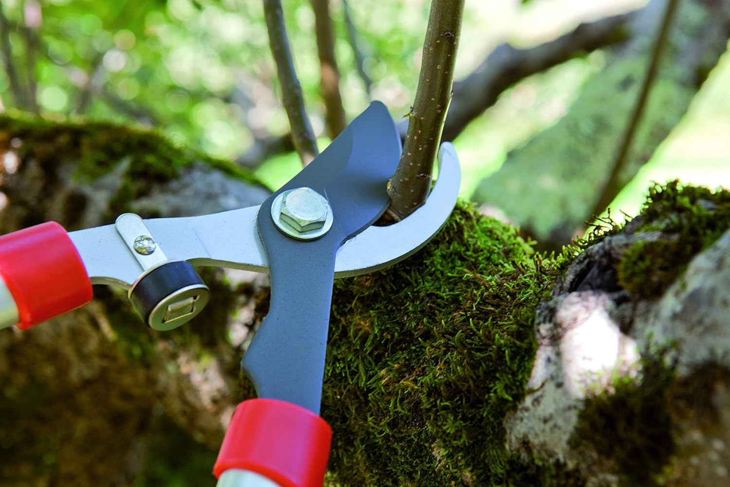 tijeras-de-podar-pruning-j445.jpg