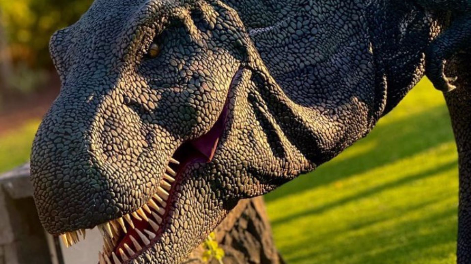 Emma claire onlyfans porn nice girl, she was on time, not a