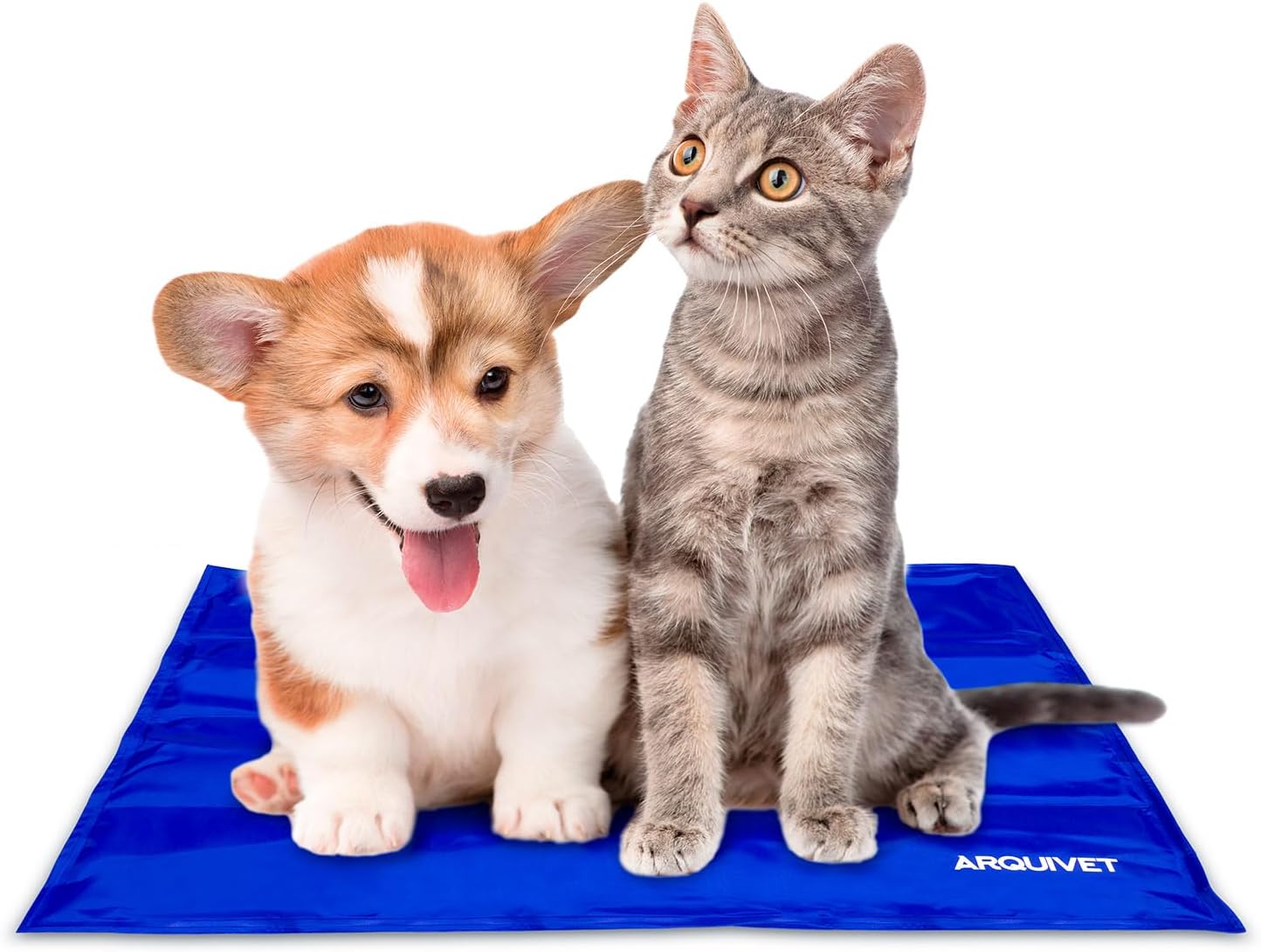 alfombrilla-refrescante-para-perros-y-gatos-arquivet.jpg