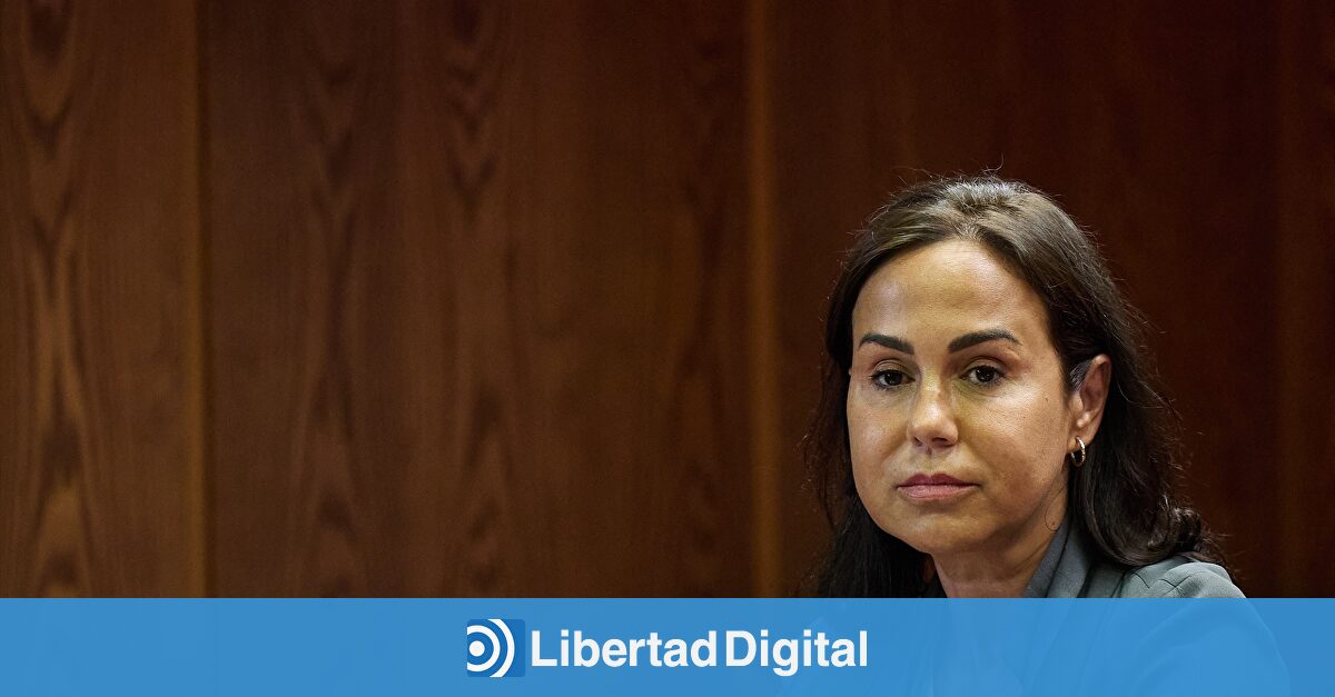 El juez investiga si Pardo de Vera cometió hasta 5 delitos en adjudicaciones irregulares