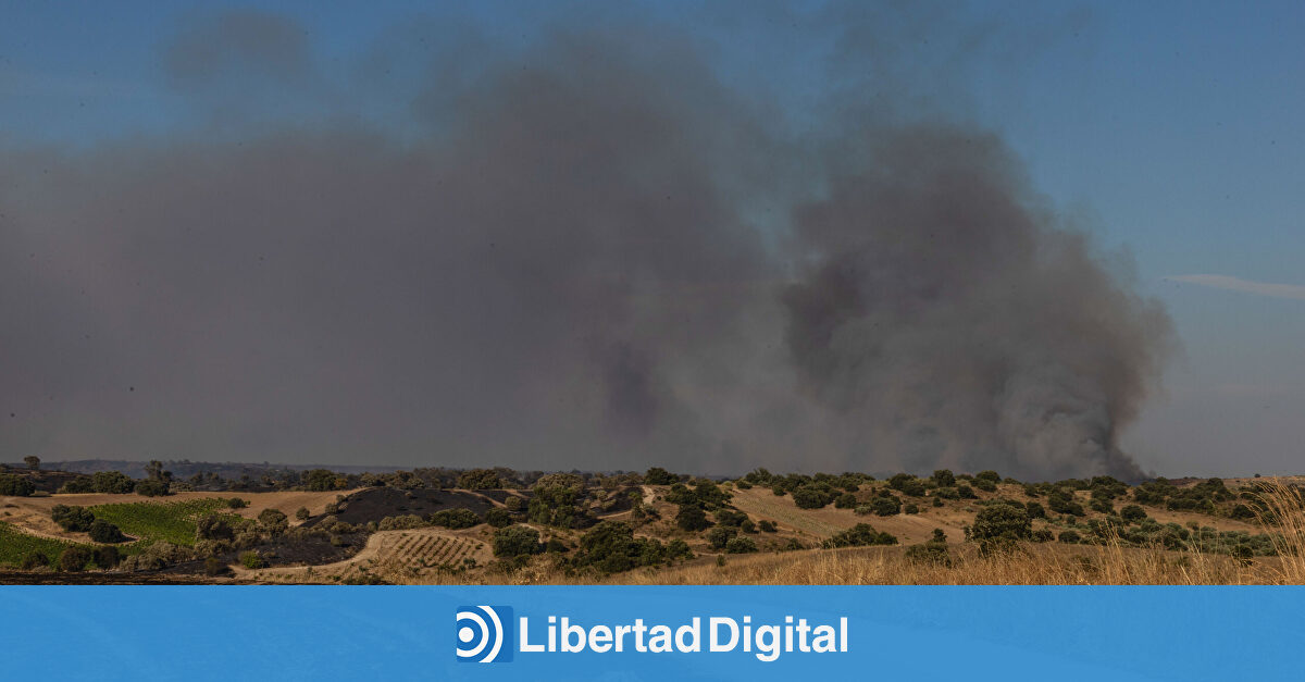Más vale prevenir que apagar: incendios extremos por montes olvidados