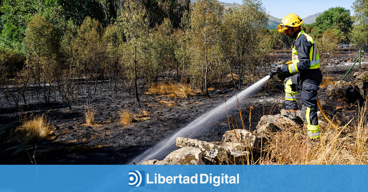 El fuego continúa en Navaluenga: el calor y el viento mantienen en vilo a los bomberos