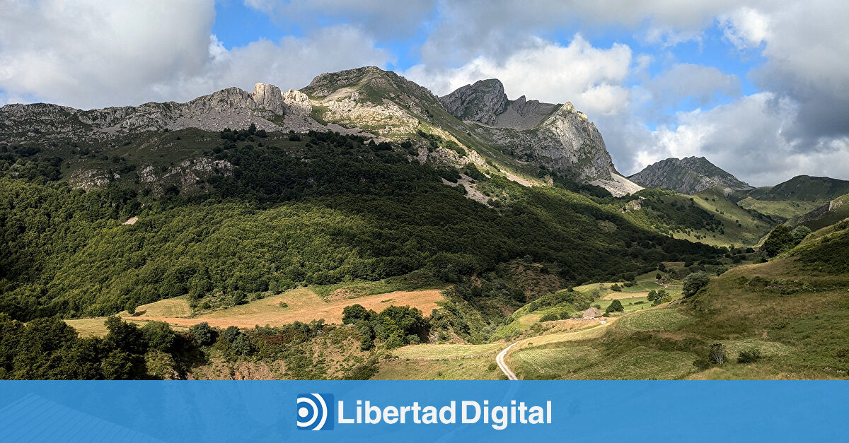 ¿Es correcto decir "subir arriba"? La RAE aclara la duda