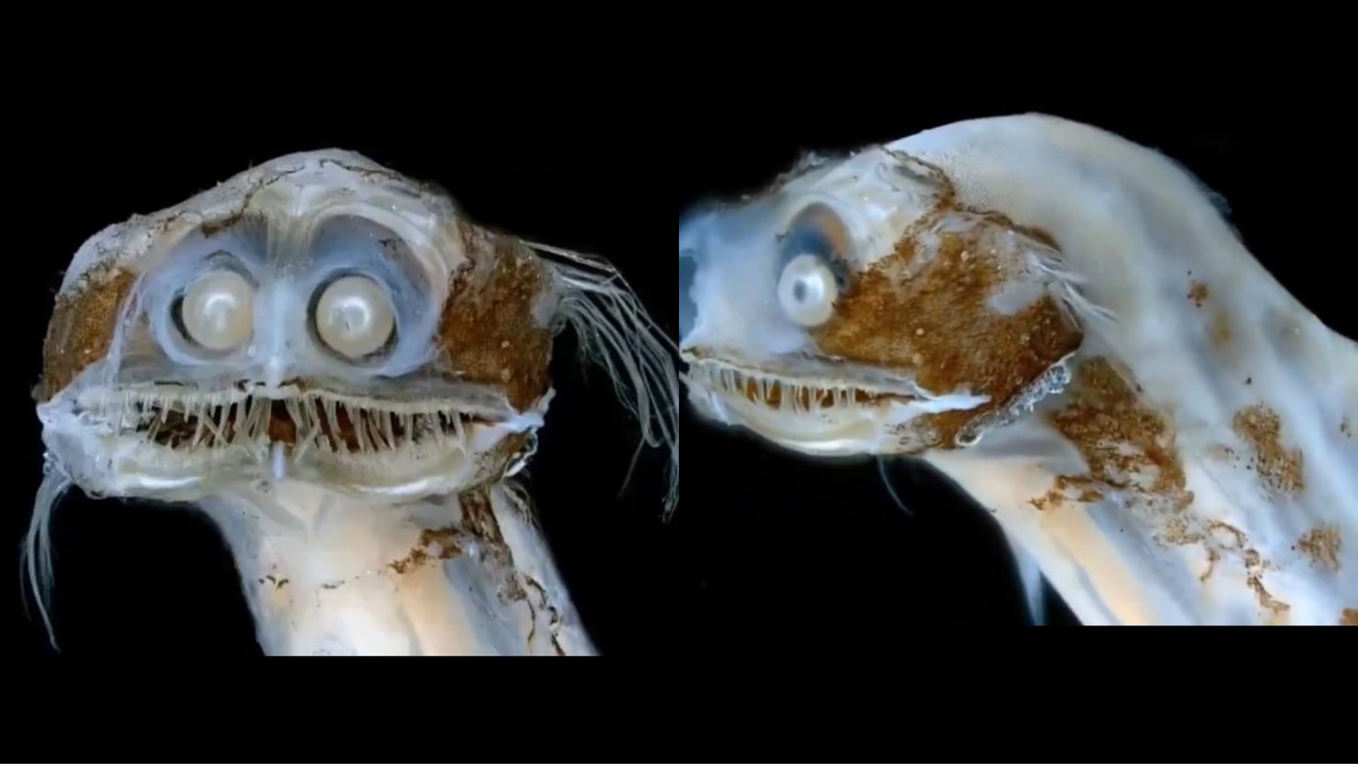 A observational image suggesting public scrutiny