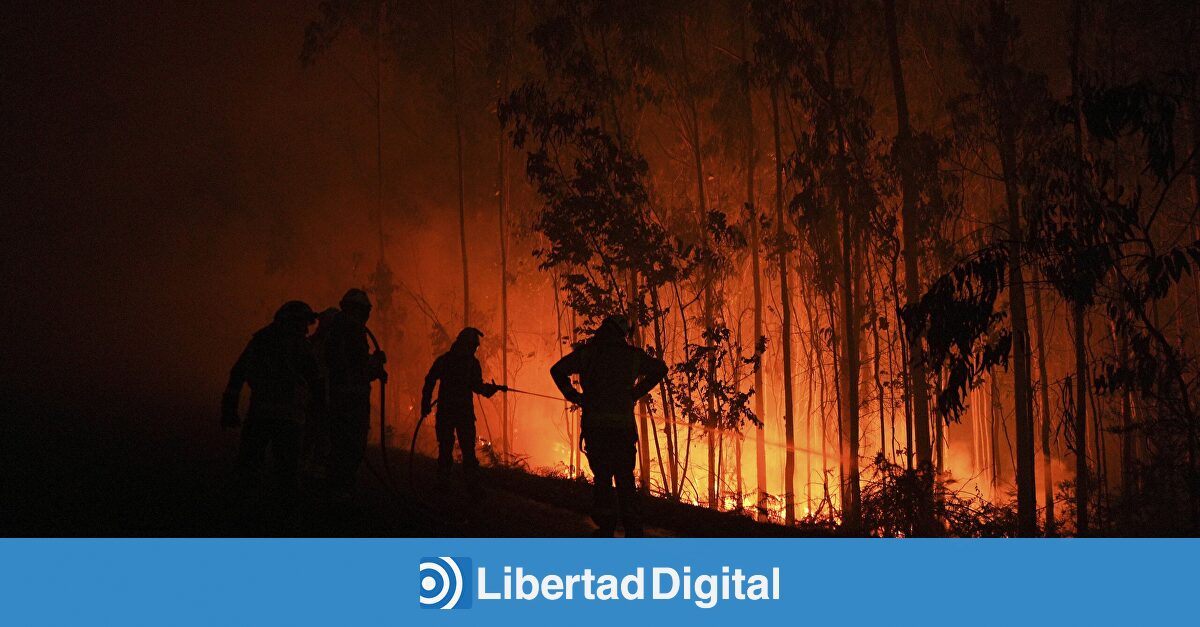 Detenida una vecina de Carballo (La Coruña) acusada de provocar 11 incendios forestales
