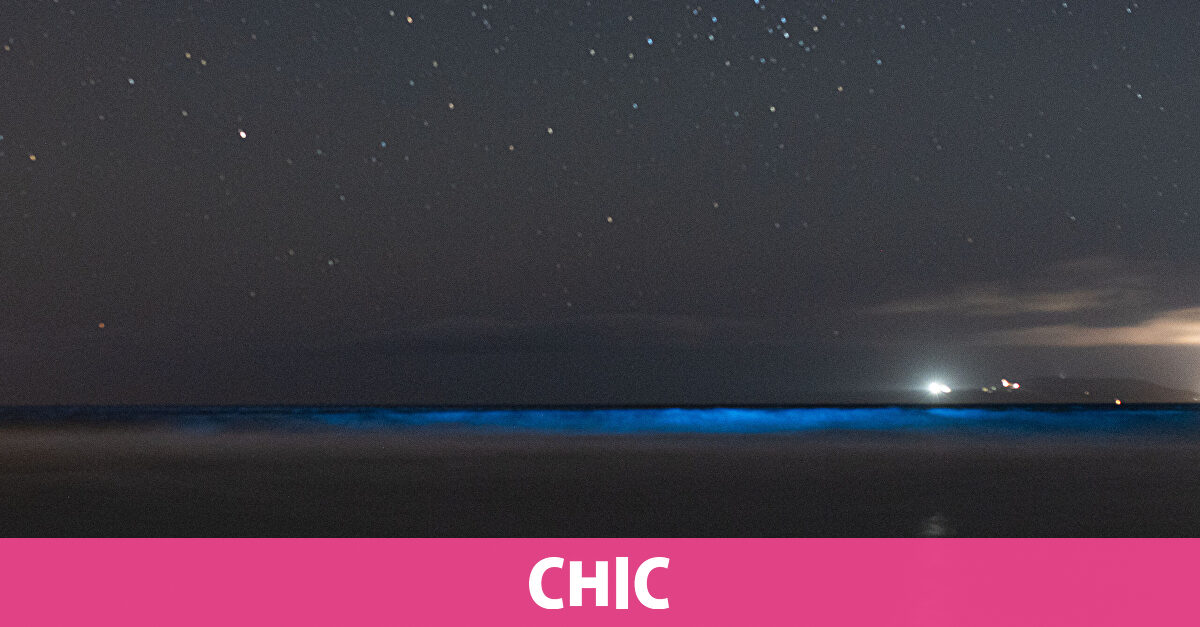 Estas son las playas de España donde el mar brillará gracias a la bioluminiscencia