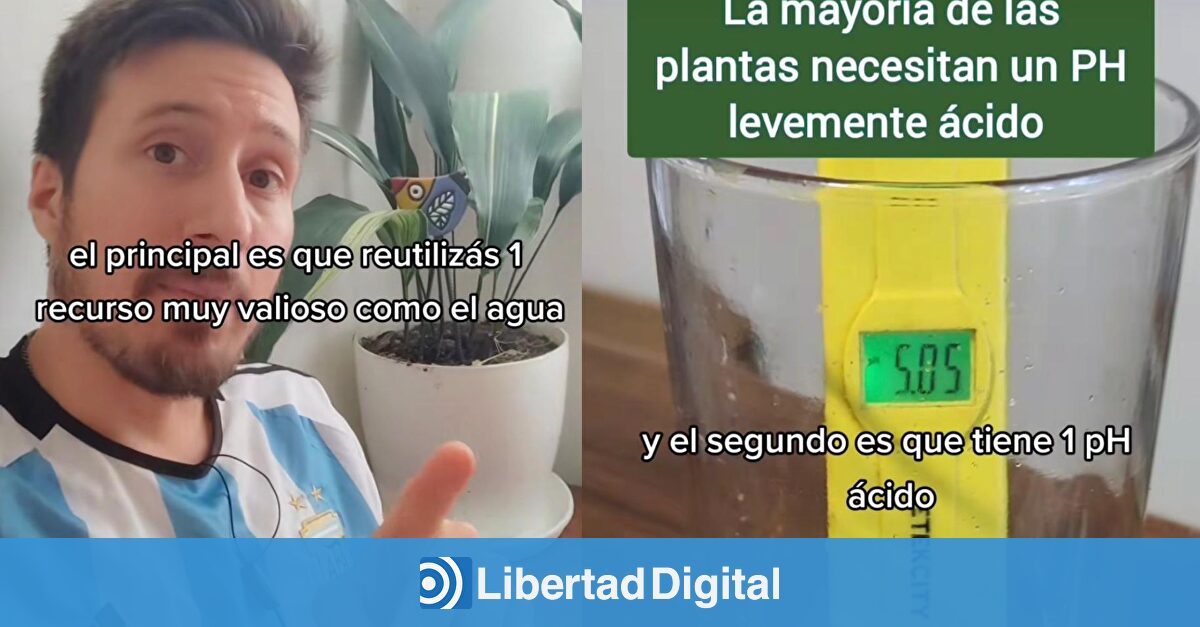 ¿Se puede usar el agua del aire acondicionado para regar plantas? Esto dicen expertos y jardineros urbanos