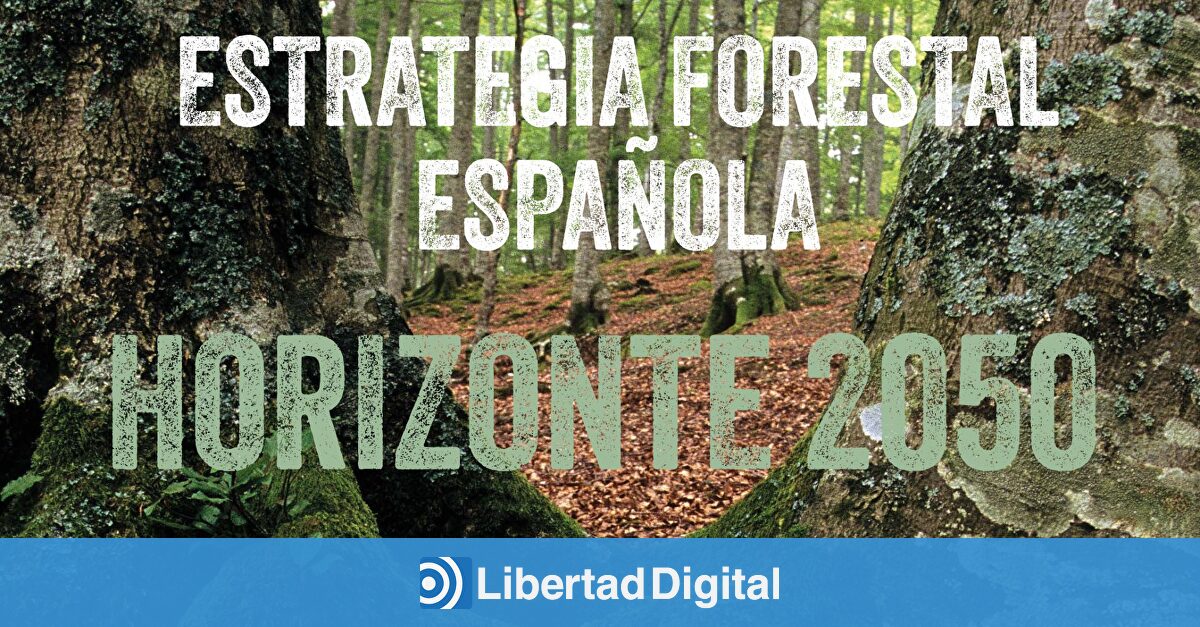 El relato climático de Sánchez se contradice con el plan forestal del Gobierno: el problema es la falta de gestión