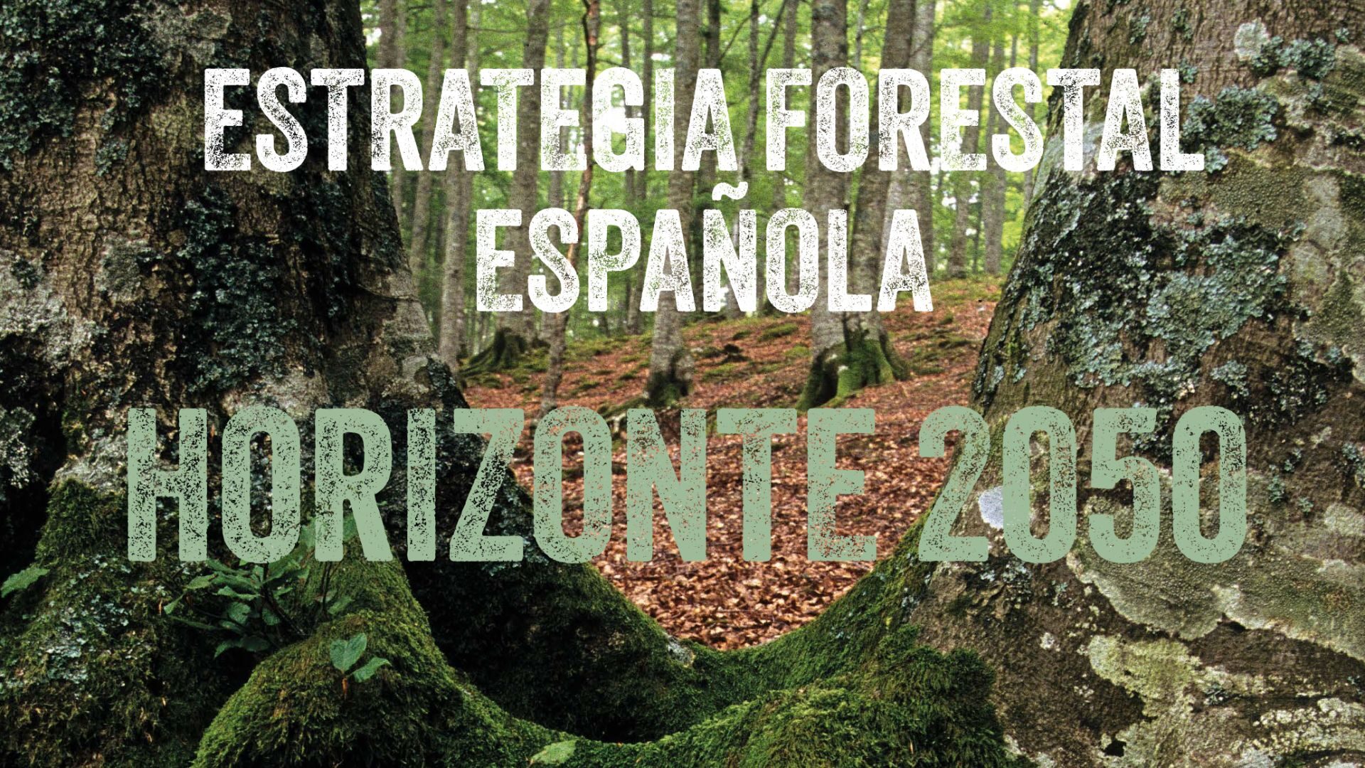 Sara estenislau sexo 8K - 00:11 Sarah Estanislau mostrando