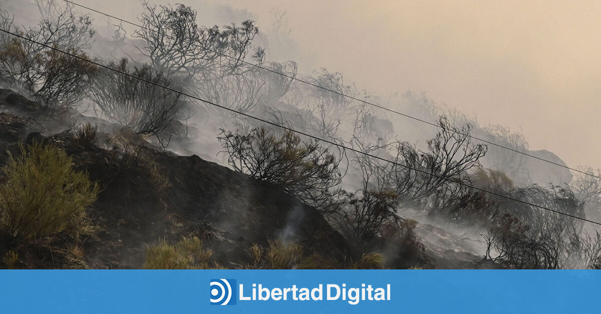 ¿Por qué declarar el nivel 3 de emergencia no ayudaría a controlar los incendios?