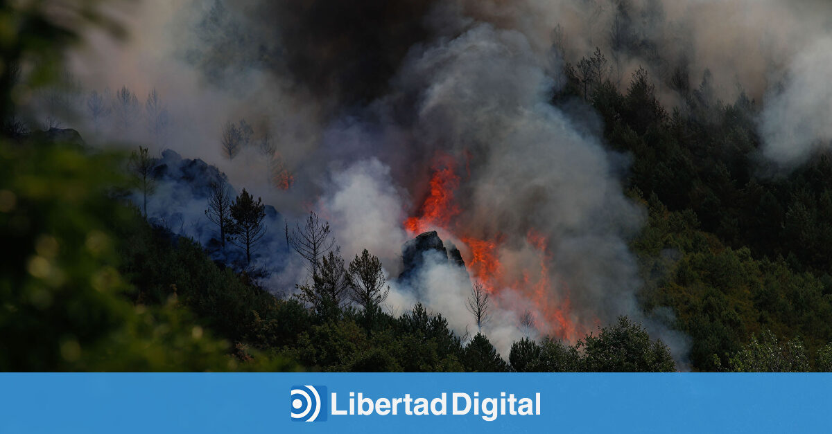 No, en España no hay cada vez más incendios, hay menos y estos son los datos que lo demuestran