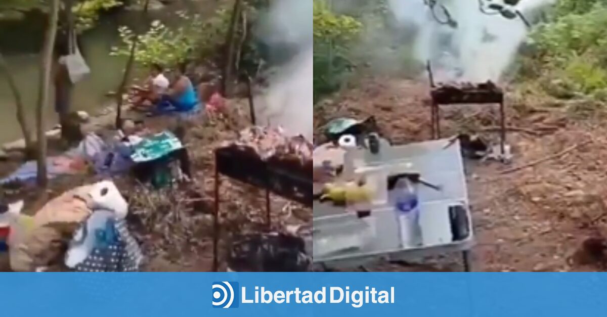 La Policía Foral sorprende a los 'domingueros' haciendo barbacoa entre la maleza en plena alerta por incendios