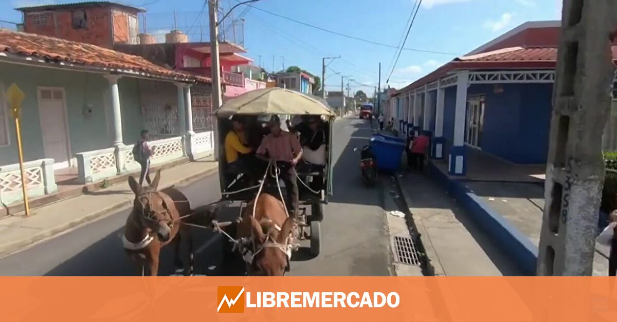 En Cuba recurren a vehículos de tracción animal ante la falta de combustible
