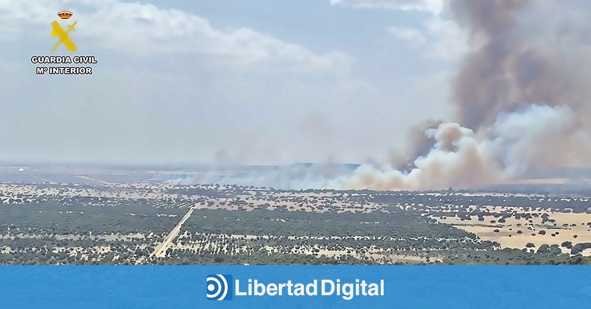 Un fallo eléctrico en una planta fotovoltaica desató el incendio forestal de Casas de Don Pedro