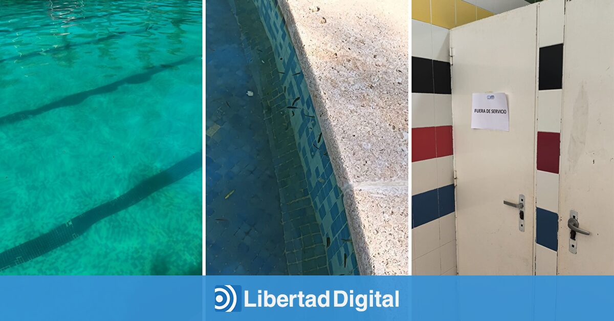 Agua verde, ratas muertas y socorristas sin titulación: el "lamentable estado" de la piscina de Moncada