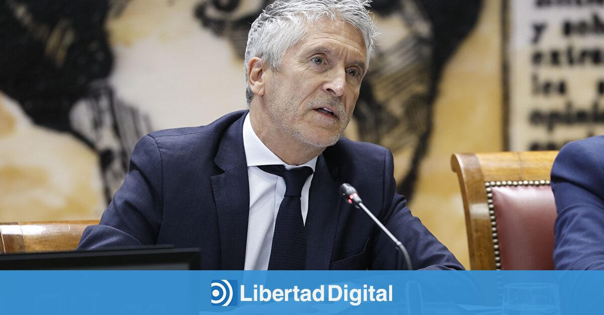 Marlaska acusa al PP de "fabricar una versión distorsionada de la realidad" para tapar "sus errores de gestión"