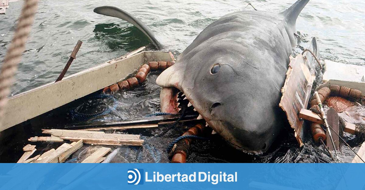 El 'Tiburón' que creías que iba por aquí pero fue por allá... con Juanma Rodríguez